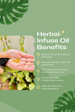 Herbal Infused Oil – Homemade (100 ml)