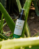 Herbal Infuse Oil - 100 ml